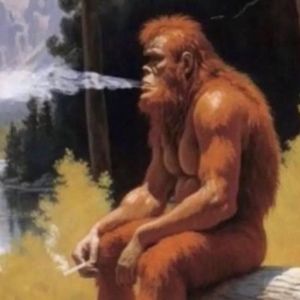 Meet your Posher, Logan